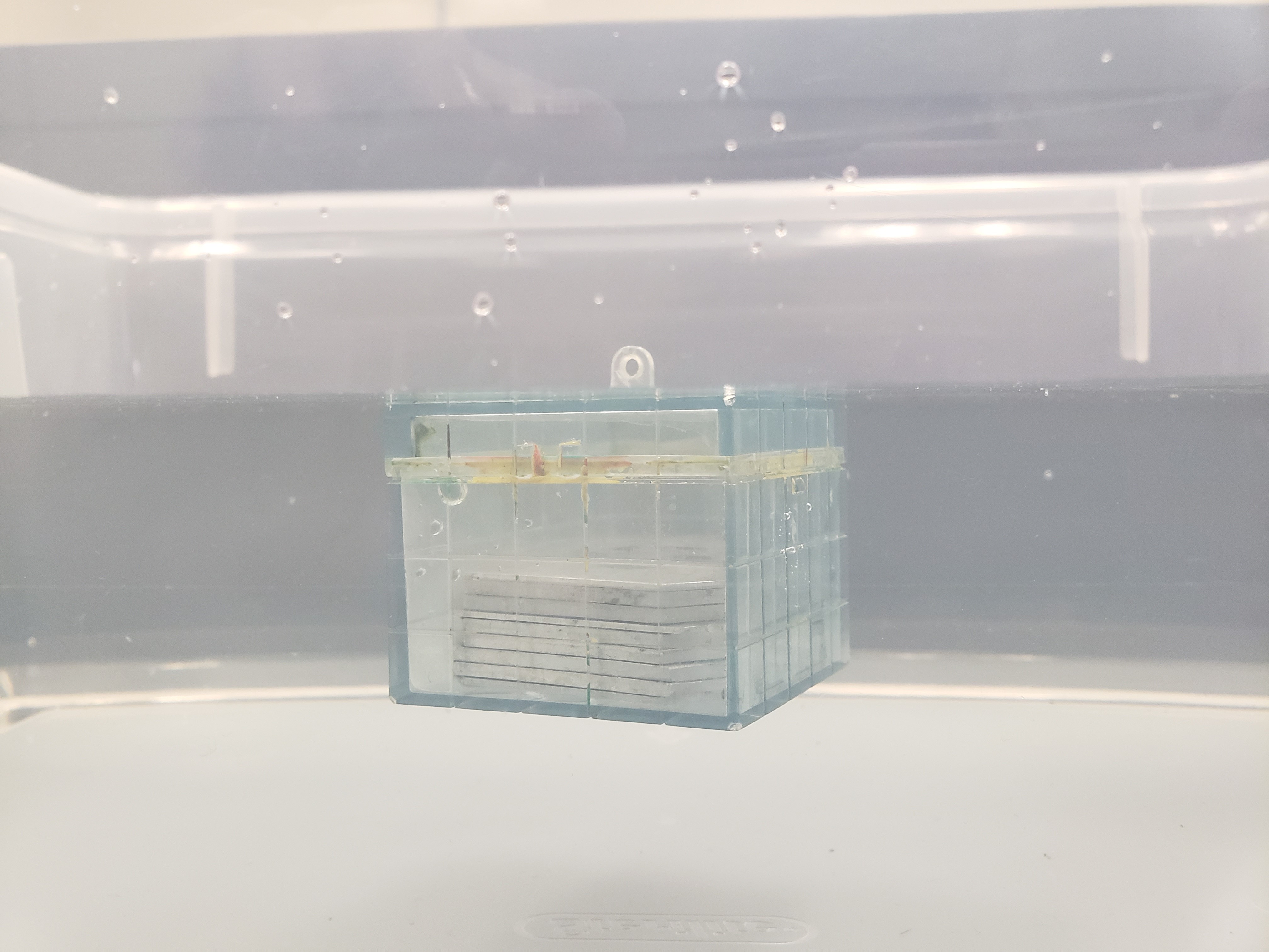 archimedes block filled with weights floating just below surface of the water