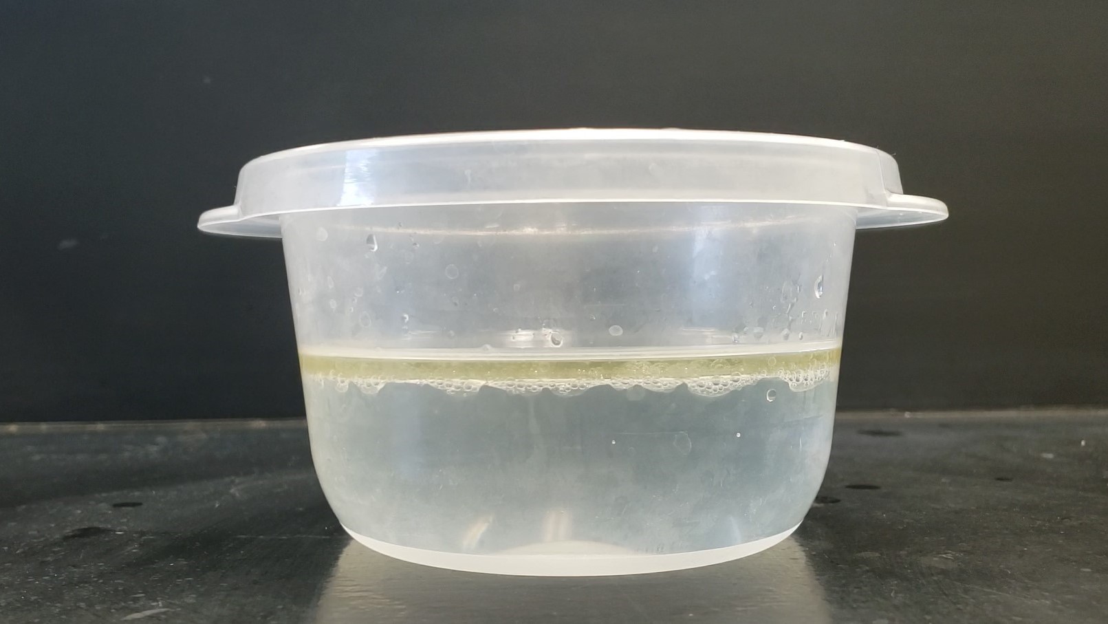 container filled with water and oil floating on top of it