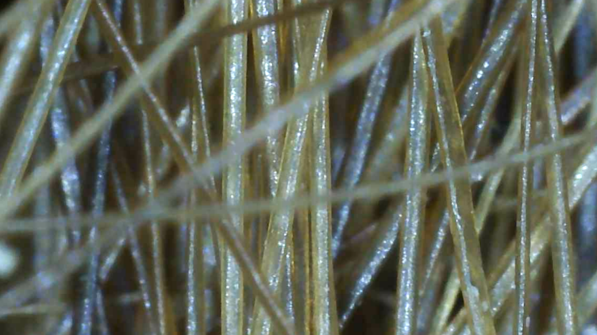 zoom in of brown hair