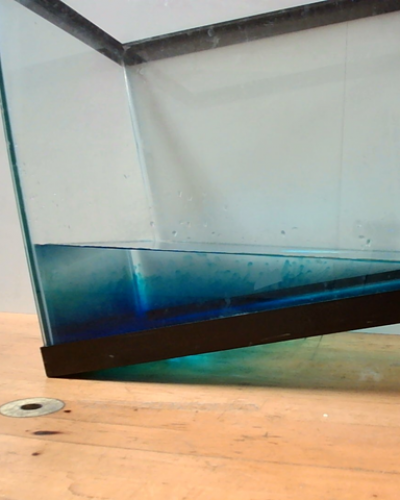 tank of water propped up at an angle with blue food dye along the bottom