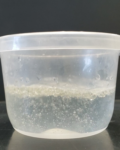 container filled with water and oil floating on top of it