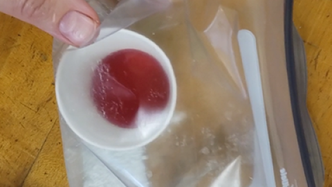 ziplock bag filled with red solution and white solid being held with two hands