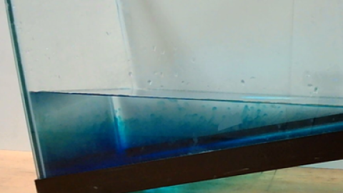 tank of water propped up at an angle with blue food dye along the bottom