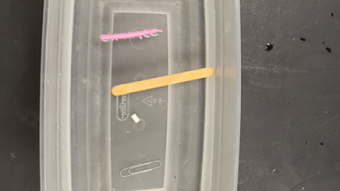 container filled with water and a candle floating, pencil floating, eraser sinking, and paperclip sinking 