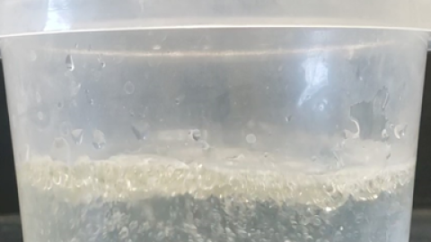 container filled with water and oil floating on top of it