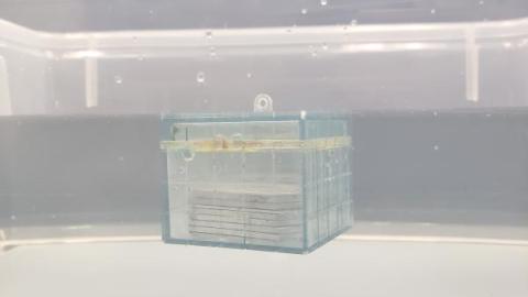 archimedes block filled with weights floating just below surface of the water