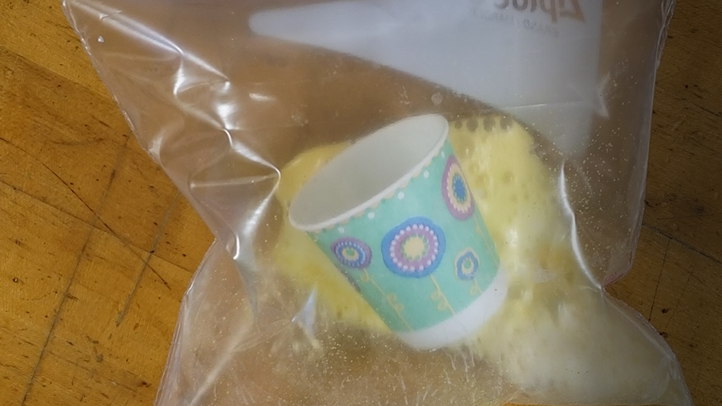 ziplock bag filled with cup and fizzing yellow liquid