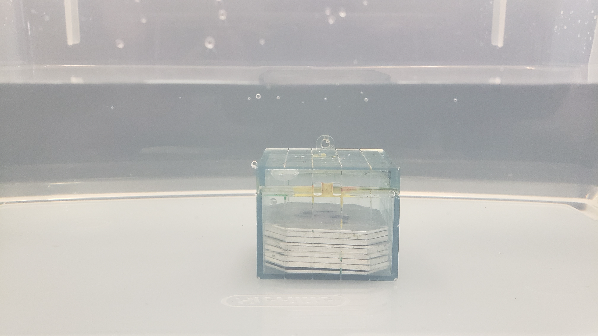 transparent block with silver rectangular weights inside submerged under water