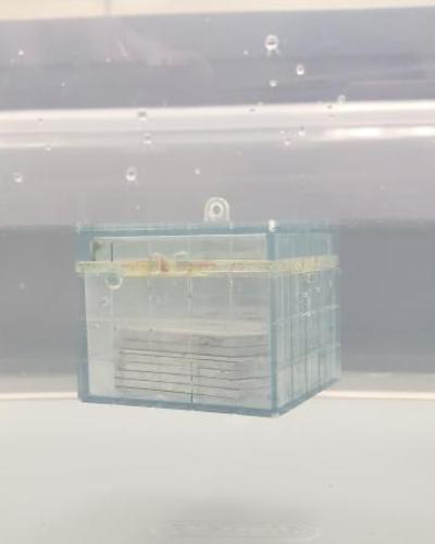 archimedes block filled with weights floating just below surface of the water